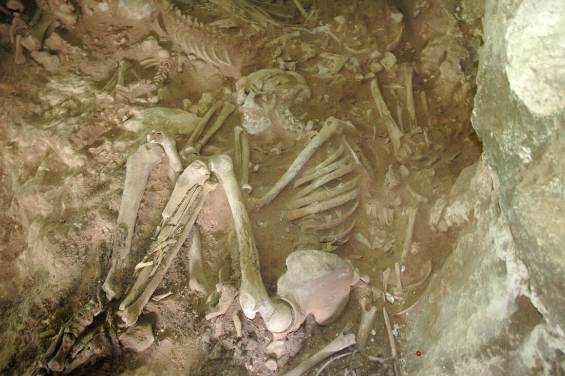 A study on humans from the Cova des Pas necropolis provides new data on food habits and social organization in the Balearic Islands in the Bronze Age