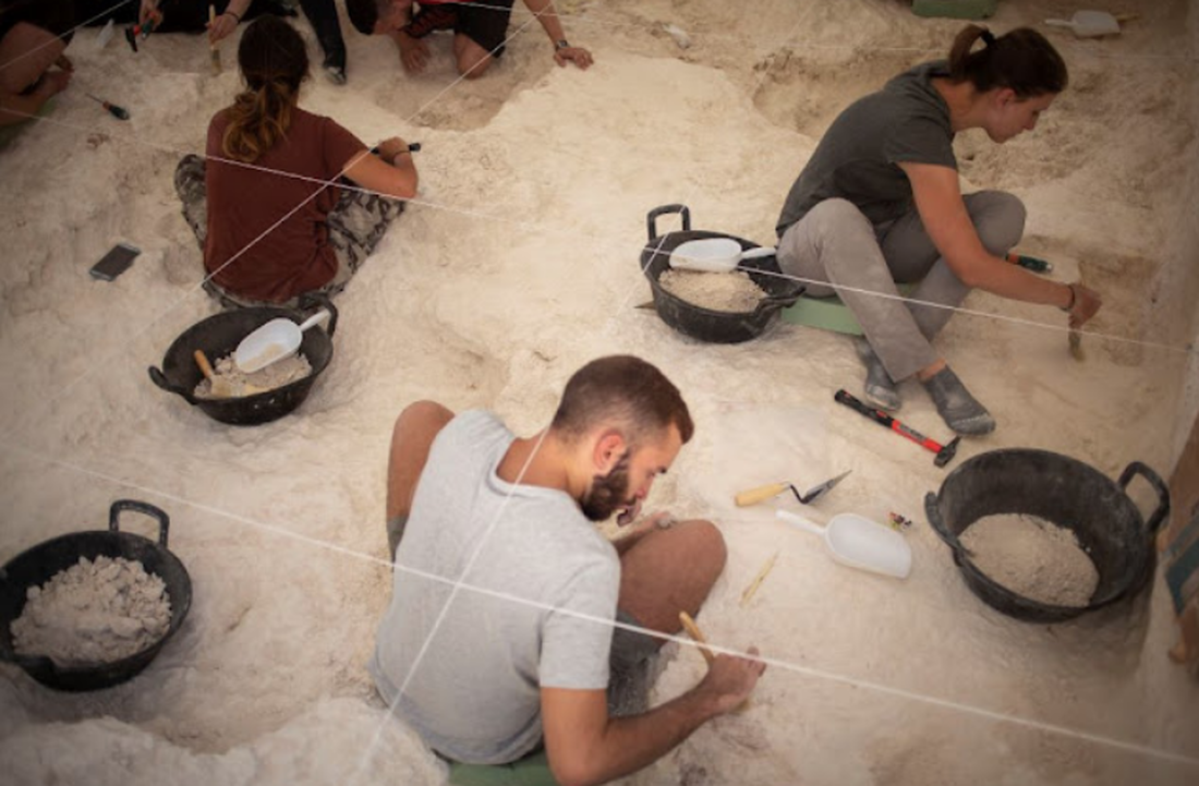 Animal remains from 1.5 million years ago at the Venta Micena site in Orce analyzed using artificial intelligence
