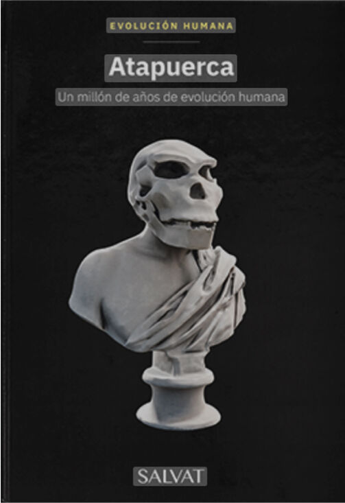 A collection of libres recollects the main milestones of human evolution