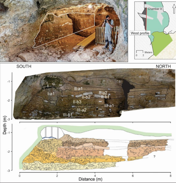 The Neanderthal of the Cova de les Teixoneres maintained their basic structure for more than 20,000 years