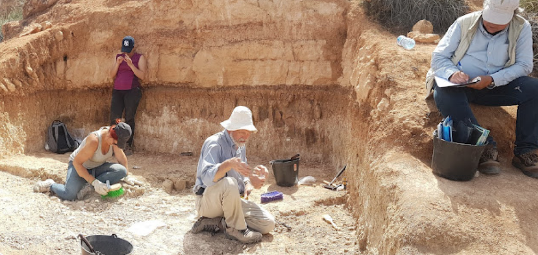 Hallan restos de macaco de hace sobre 2,5 millones de años que cubren un vacío en el registro fósil