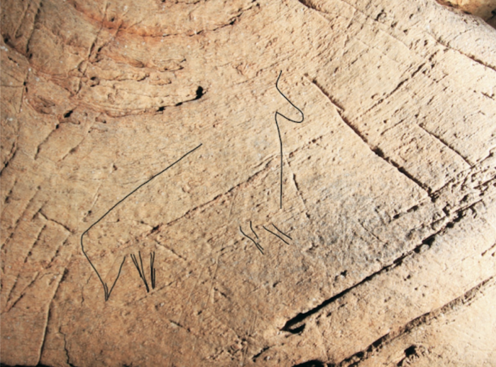 Cova Eirós shows that Paleolithic art lasts beyond the traditional areas and up to 9,500 years ago
