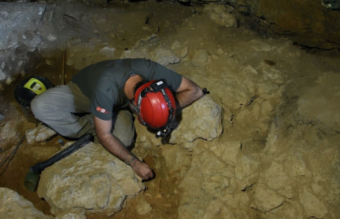 Descubren en la cueva del Cudó de Mont-ral restos de uno de los últimos leopardos que habitó en las montañas de Prades