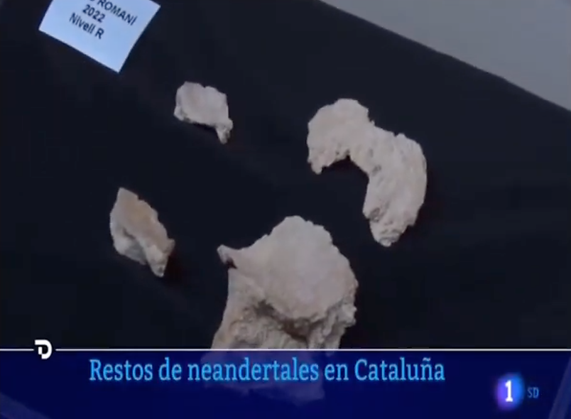 The Neanderthal remains of the Abric Romani site in the Telediario de TVE