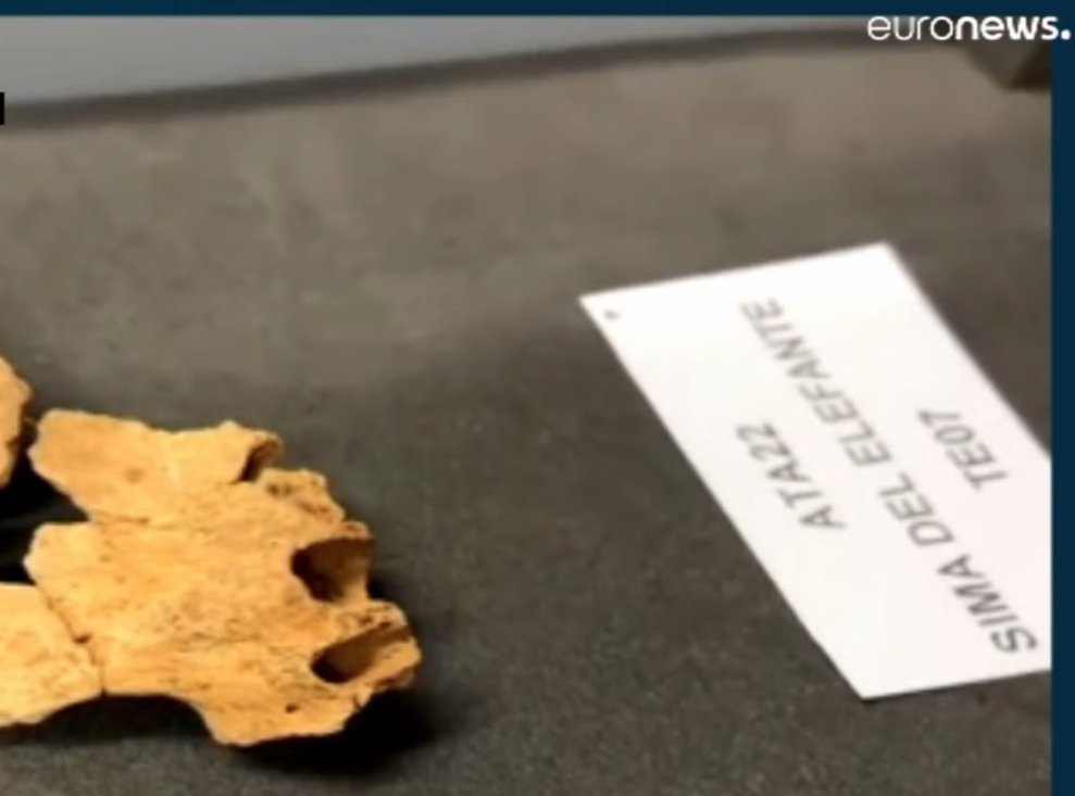 Restos humanos de d’1,4 milliones de años de Atapuerca en Euronews