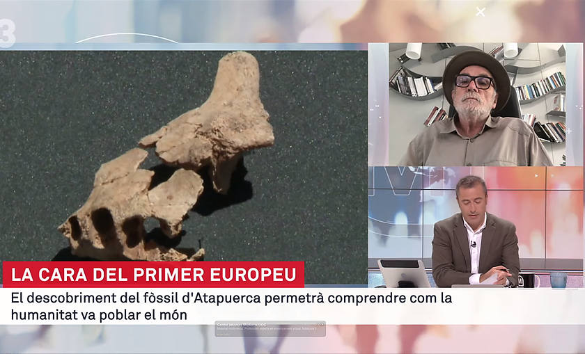 Restos humanos de d’1,4 milliones de años de Atapuerca en Els Matins de TV3