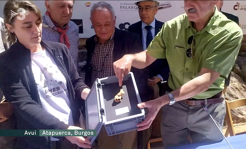 Restos humanos de d’1,4 milliones de años de Atapuerca en el Telenotícies Migdia de TV3