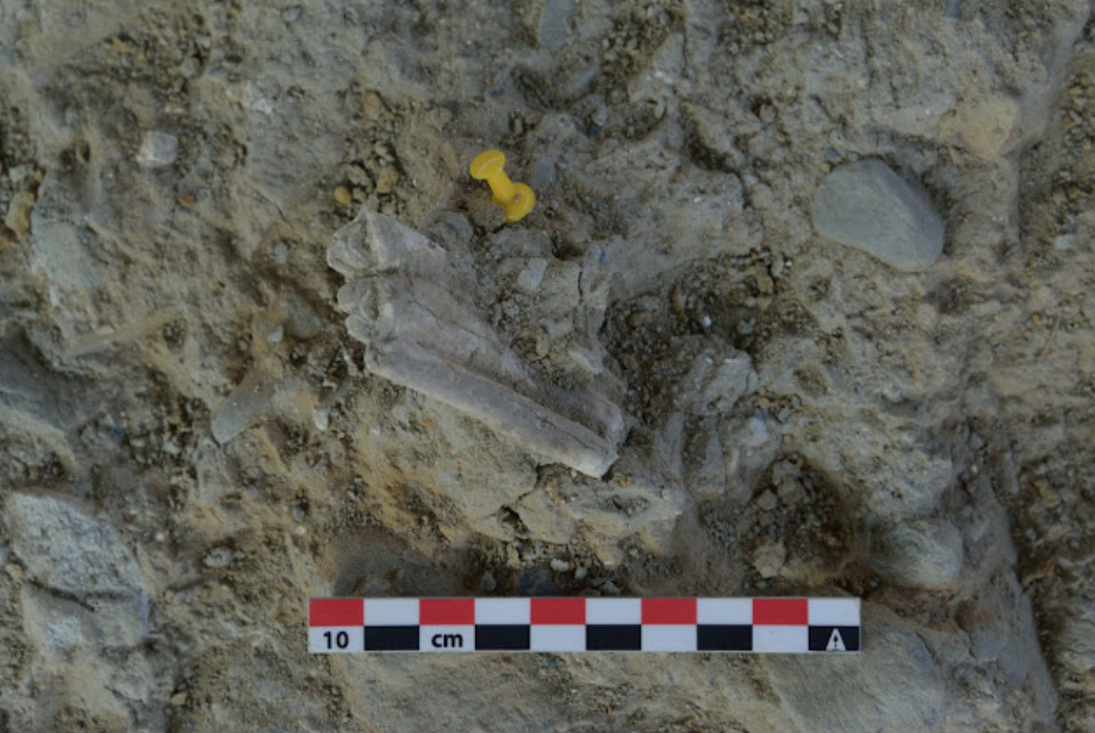 The 13th archaeological excavation campaign in the Barranc de la Boella ends