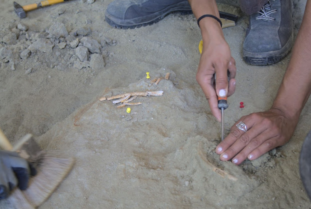 Finalitza la 13a campanya d’excavació arqueològica al Barranc de la Boella
