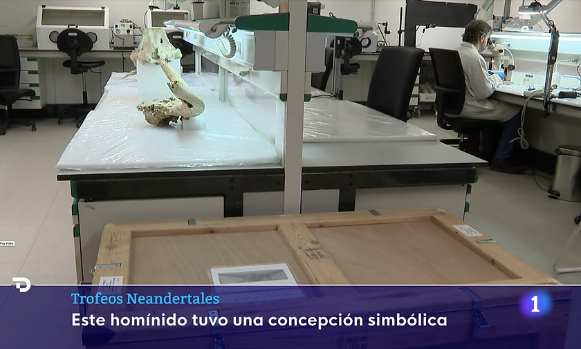 El santuari neandertal de Pinilla del Valle en el Telediario de RTVE