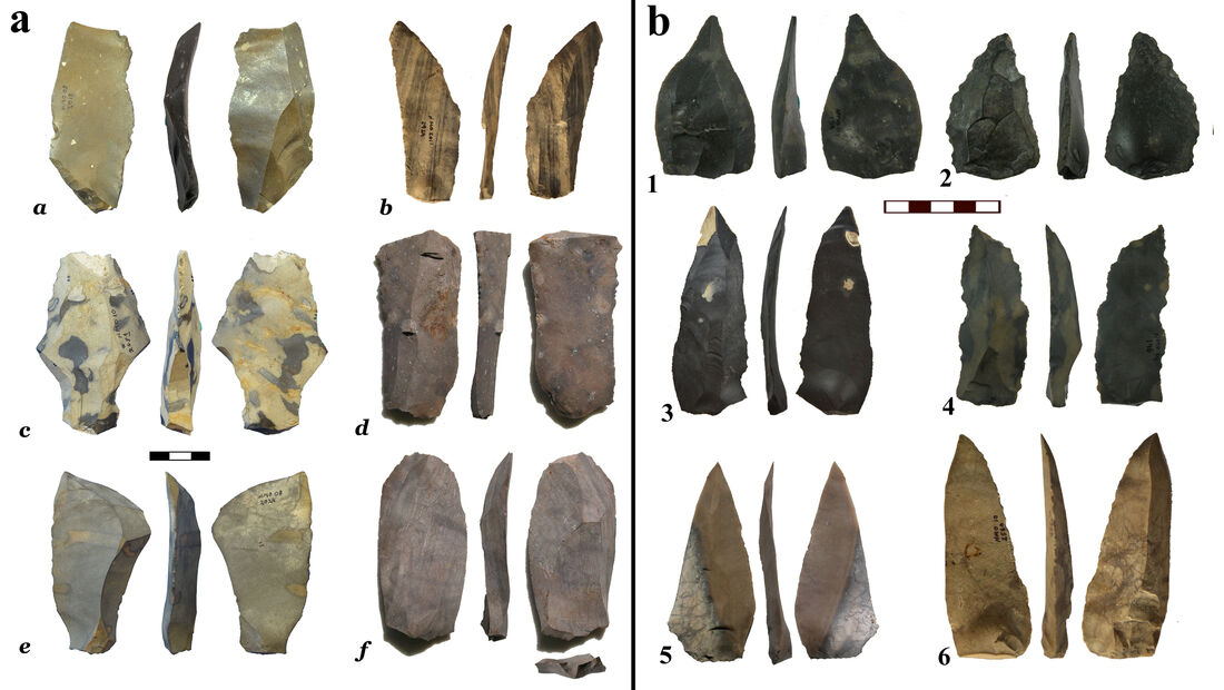 New studies of unique stone tools excavated from Nahal Mahanayeem Outlet (NMO) on the Jordan River bank reveal the innovation and dexterity of Paleo-Hula Valley hunters of giant cows 60,000 years ago