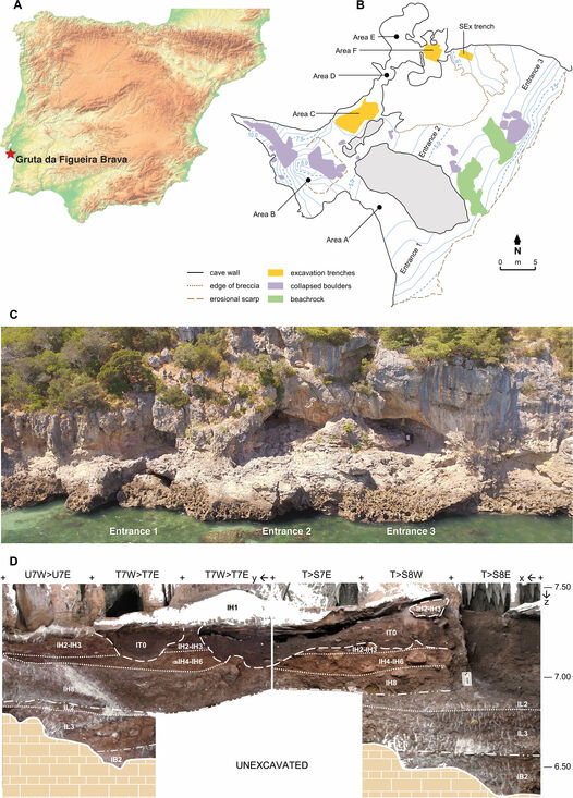 Los Neandertales marisqueaban bueyes de mar hace 90.000 años en la Península Ibérica