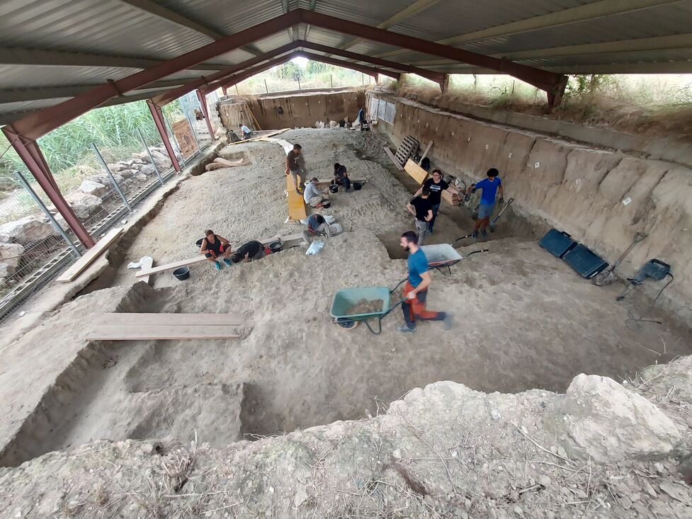 Nuevos restos de mamut y de un tigre de dientes de sable de 1 millón de años en el yacimiento del Barranco de la Boella (La Canonja)