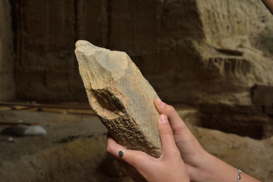 Nuevos restos de mamut y de un tigre de dientes de sable de 1 millón de años en el yacimiento del Barranco de la Boella (La Canonja)