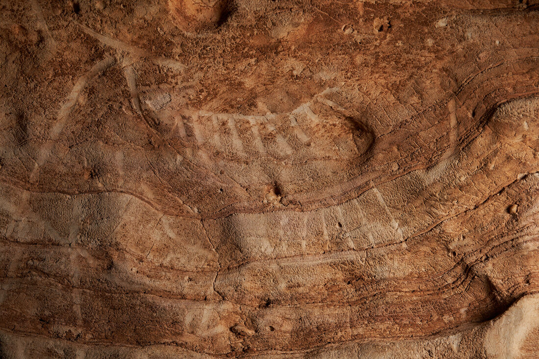 Descubierta una cueva con grabados prehistóricos inéditos en el municipio de la Febró, Catalunya