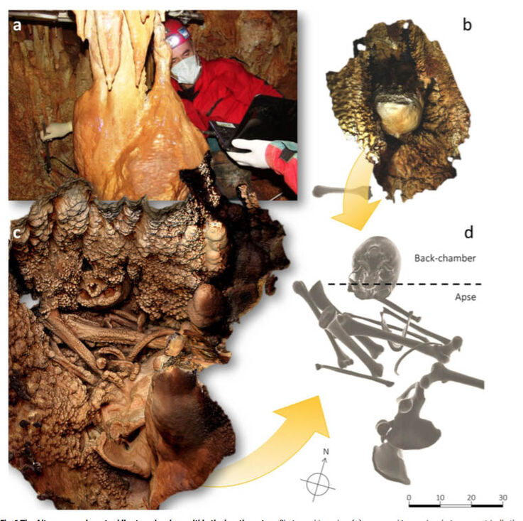 El cráneo de Altamura se encuentra entre dos cámaras dentro del sistema kárstico. Foto: Communications Biology.