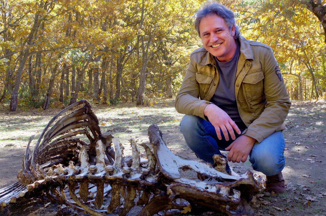 Jordi Rosell receives an ERC Advanced Grant from the European Union to study the interaction of carnivores and humans in prehistoric habitat spaces
