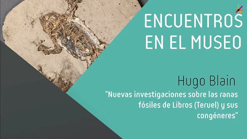 Las ranas fósiles del yacimiento mioceno de Libros (Teruel)