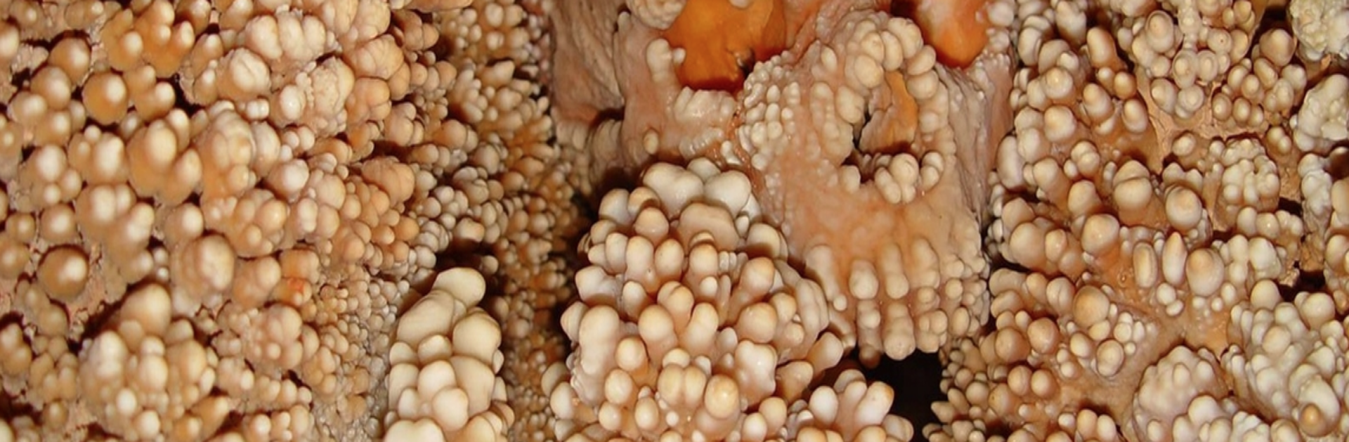 They manage to reconstruct the skull of Altamura man, a Neanderthal from 150,000 years ago