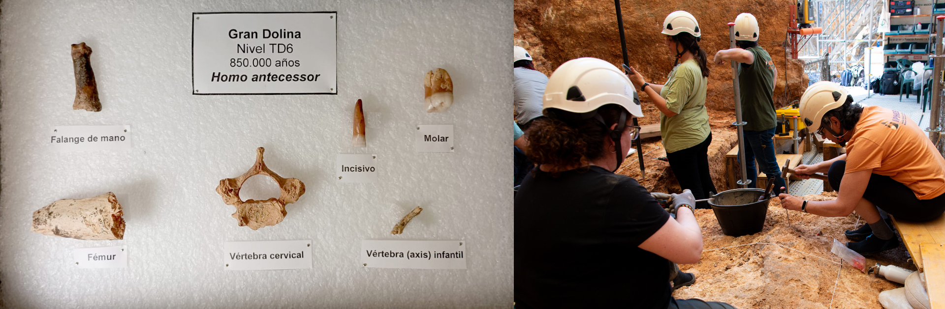 La campaña de Atapuerca 2025 marca un punto de inflexión con nuevos descubrimientos y una dirección