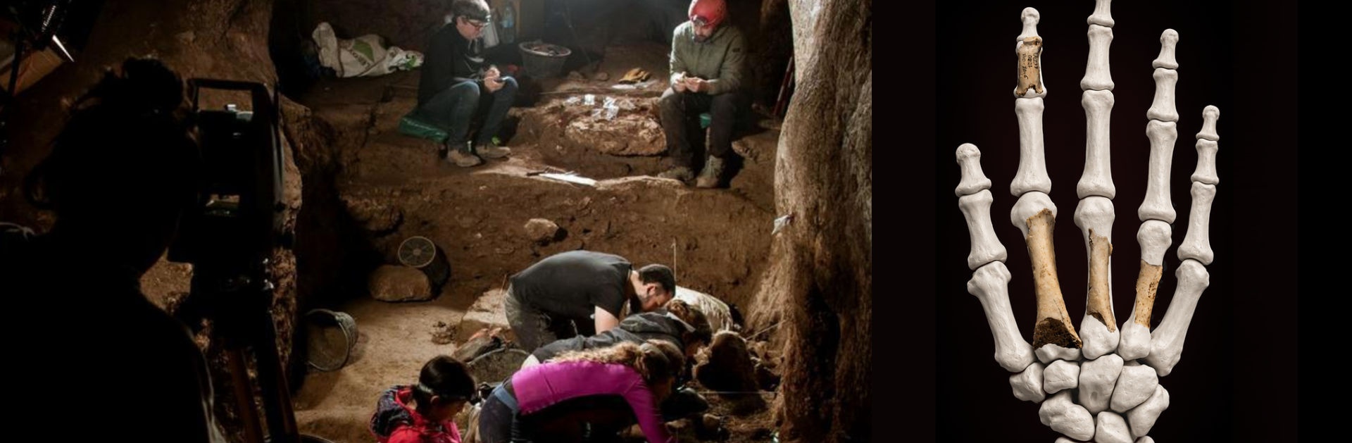 Descubiertos en Navarra los primeros fósiles neandertales: restos de una mano de hace 46.000 años con ADN conservado