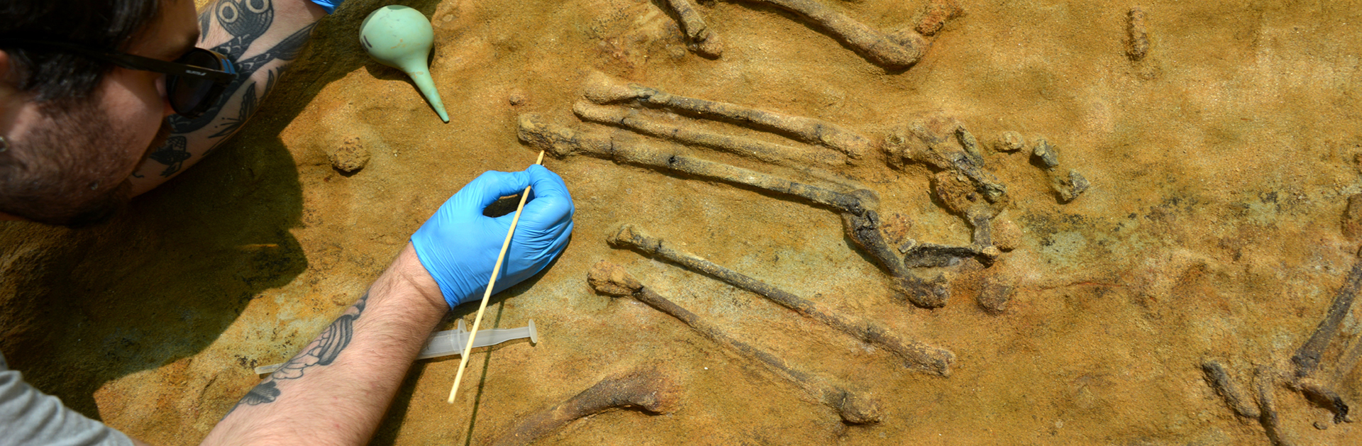 Recuperan por primera vez el esqueleto completo de un ave de 3,1 millones de años en el Camp dels Ni