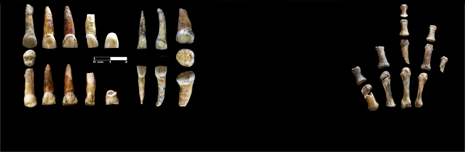 Identifican restos neandertales en la Cova Simanya de hace más de 50.000 años