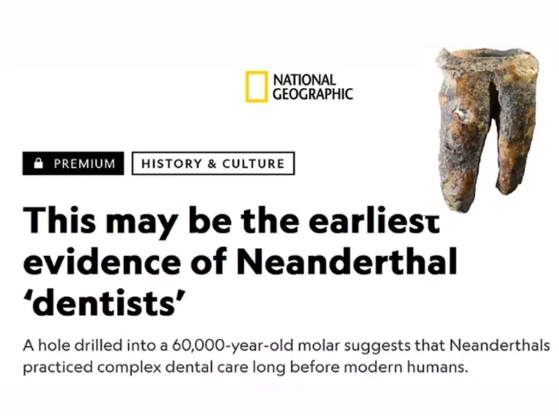 La investigadora Marina Lozano aporta la seva expertesa a National Geographic sobre una nova evidència d’odontologia neandertal
