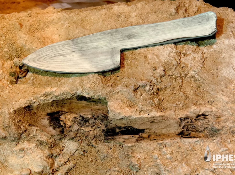 Más allá de la piedra: el Abric Romaní muestra un universo neandertal hecho también de madera