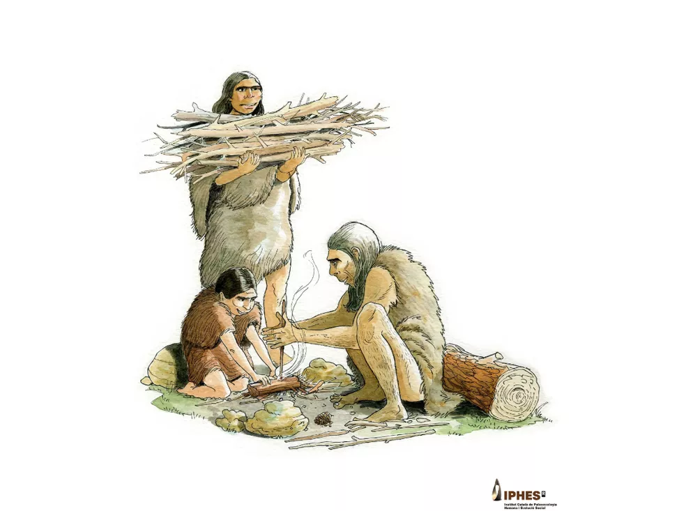 Más allá de la piedra: el Abric Romaní muestra un universo neandertal hecho también de madera