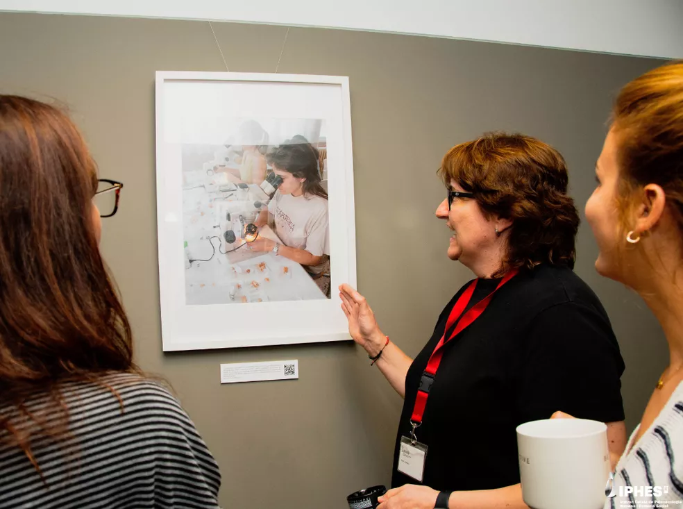 L’IPHES-CERCA acull l’exposició “<i>Mujeres en Atapuerca</i>”, un homenatge al paper de les dones en la recerca sobre l’evolució humana